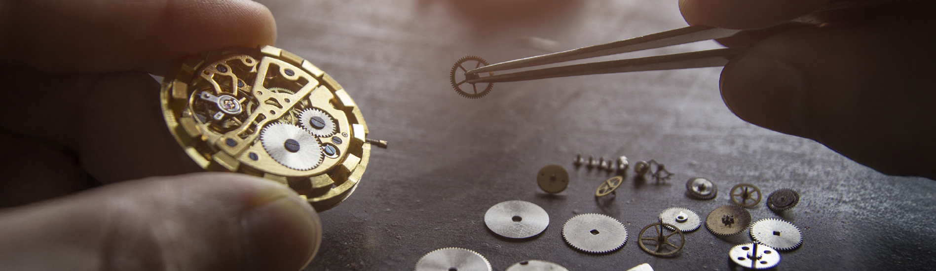 Tweezers holding a piece for a mechanical watch